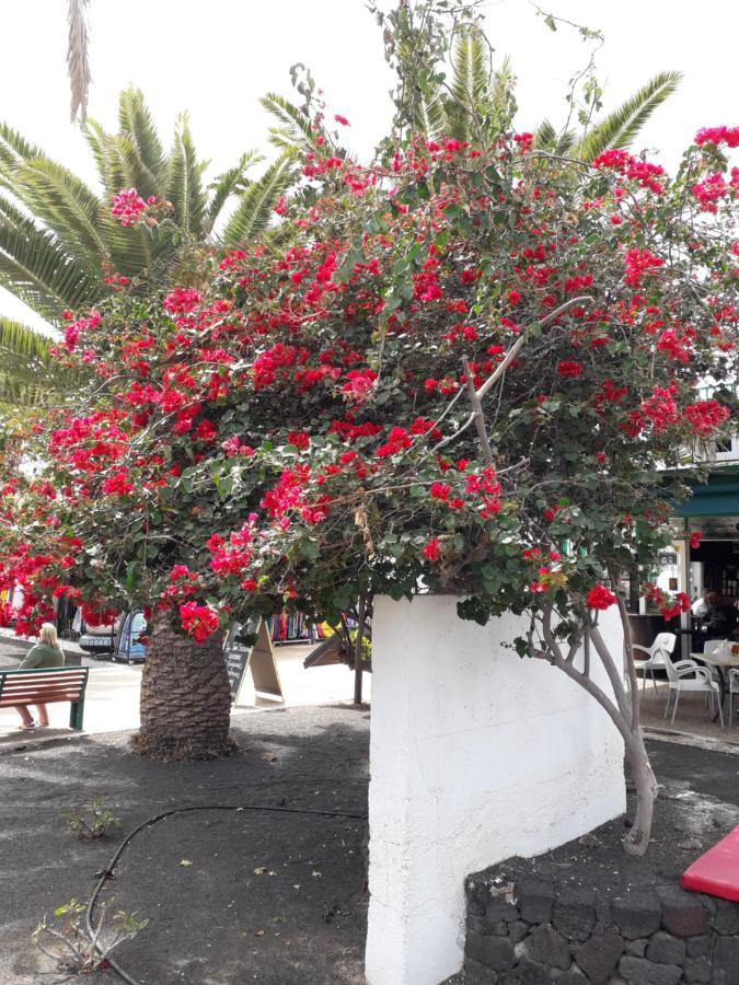 Sunny Self-Catering Apartment Costa Teguise, Lanzarote, Spain Buitenkant foto